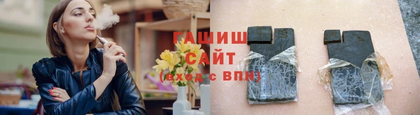 гашик Алексин
