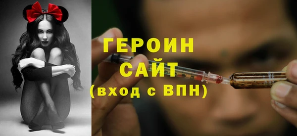 гашик Алексин