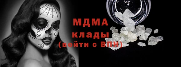 гашик Алексин