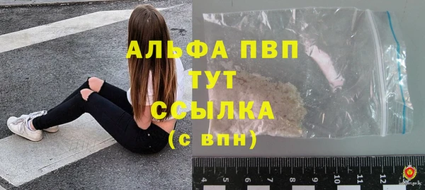 гашик Алексин