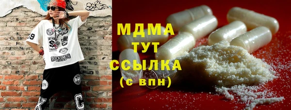 гашик Алексин