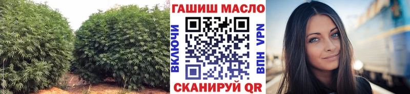 ТГК Wax  OMG tor  Жуков 