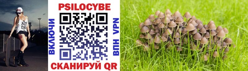 дарк нет как зайти  Жуков  Псилоцибиновые грибы прущие грибы 